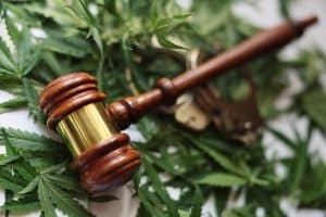 Putting the “Weeeee” in Weed: Maryland’s New Marijuana Laws 